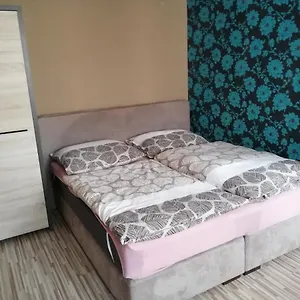 Apartment 1+1 V Karlovych Varech
